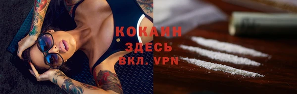 кокс Белокуриха
