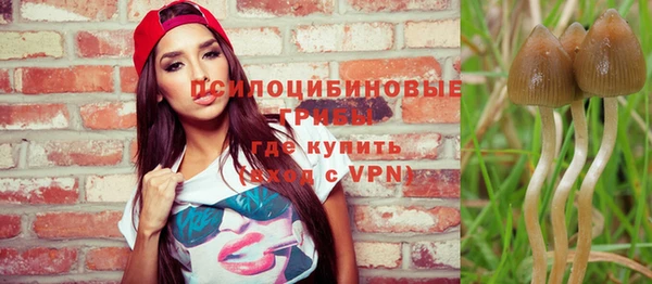 кокс Белокуриха