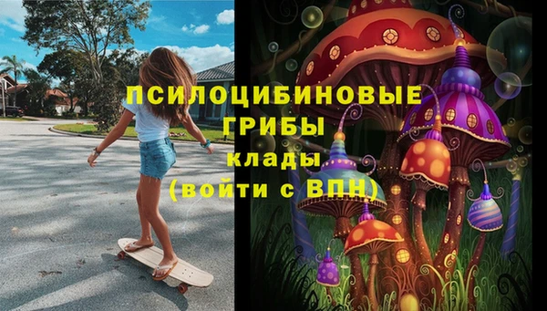 a pvp Беломорск