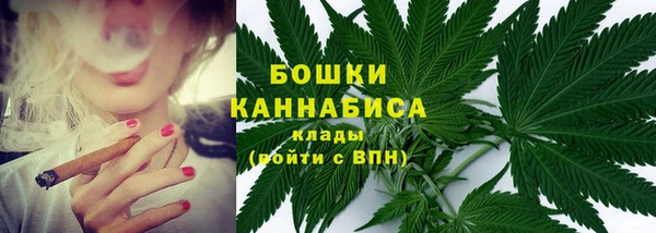 кокс Белокуриха